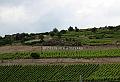De Romantische Rijn - Dag 2 = 5-8-2016 (269)